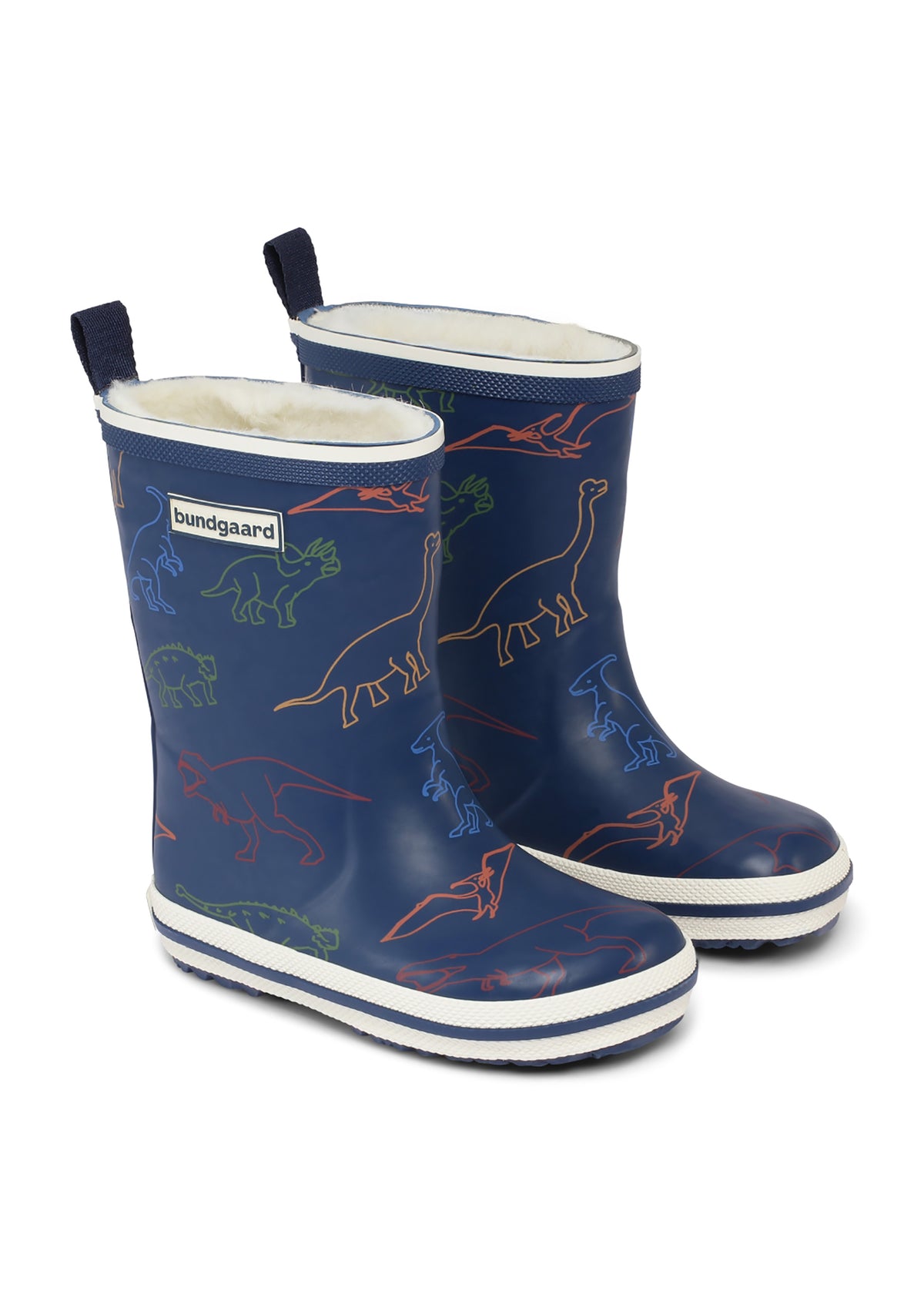 Rubber boots with a warm lining - blue, dinosaurs, Charly High Warm